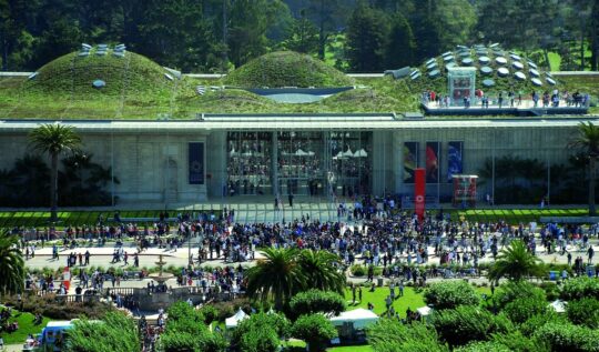 Arquitetura Sustentável